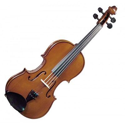 Mason AL-2043 Violin 3/4 Violin With Case | SBR Pro Sound