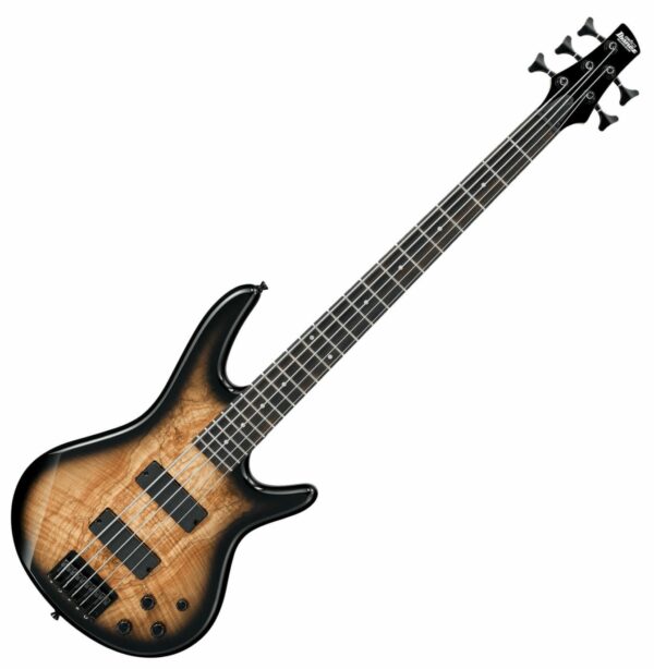 Ibanez GSR205SM 5-String Bass Guitar | SBR Pro Sound