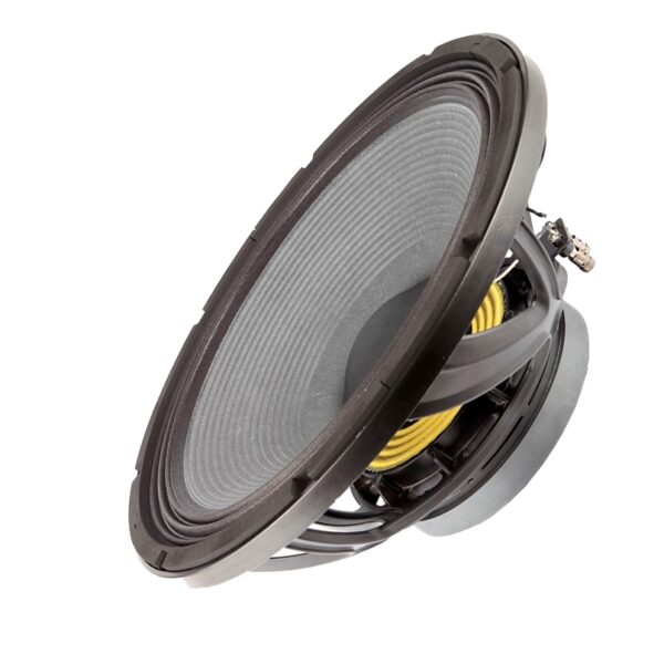 RedCatt 18FIND X8 woofer