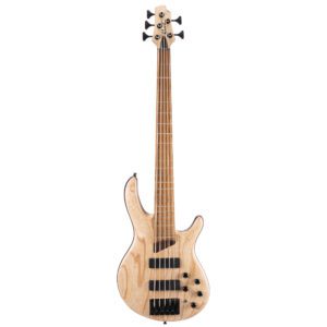 Cort B5 Element