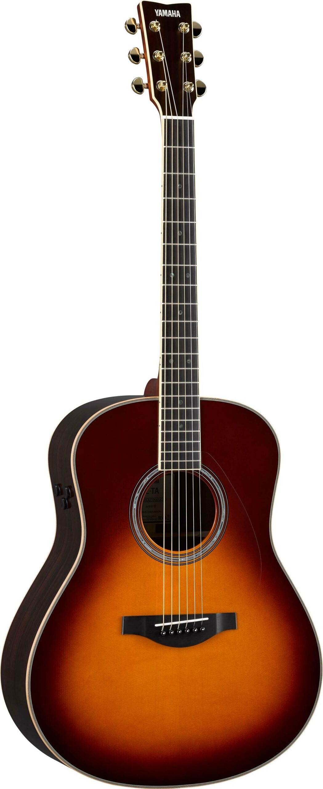 その他 Plutot Guitare [DVD] [Import] Nat-FGX820C-scaled.jpg