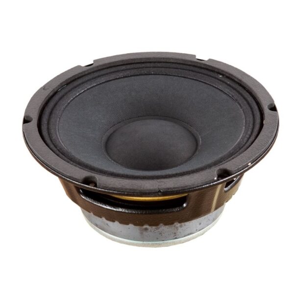 P audio speaker 8 2024 inch