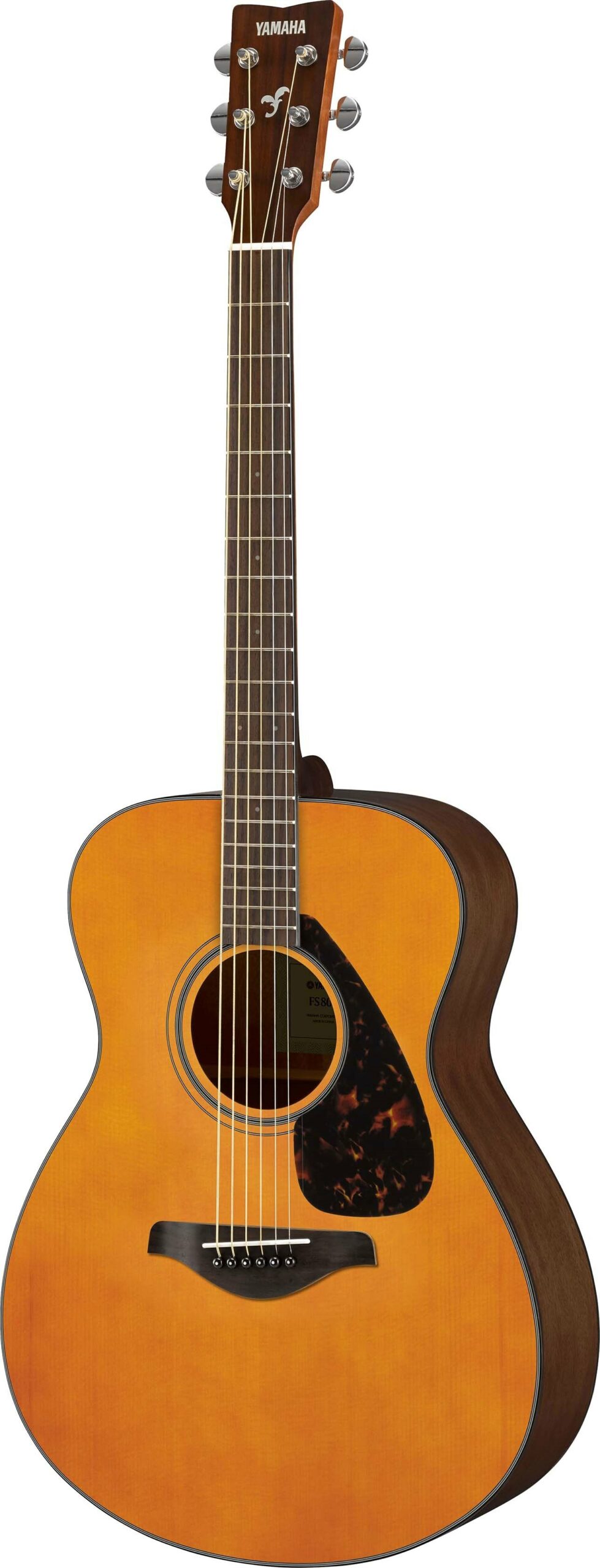 Yamaha FS800 Standard Acoustic Guitar | SBR Pro Sound