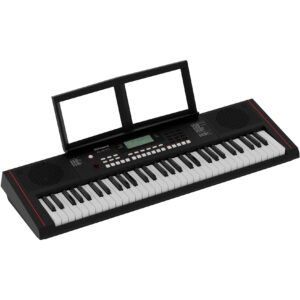 Roland E-X10  61-Key Arranger Keyboard