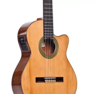 Altamira N200CE