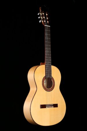 Altamira N300F