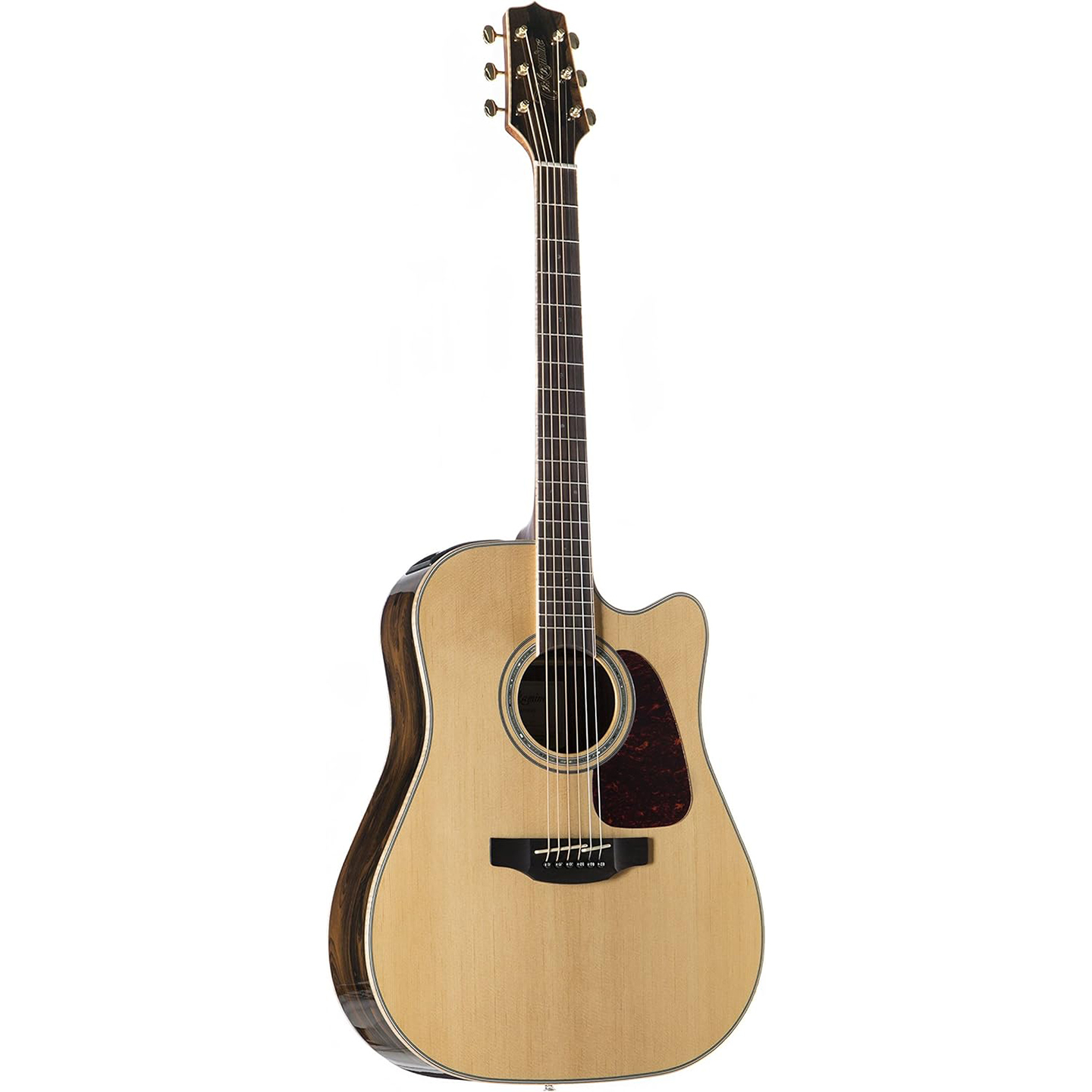 Takamine | SBR Pro Sound