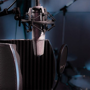 Isolation Shield | SBR Pro Sound