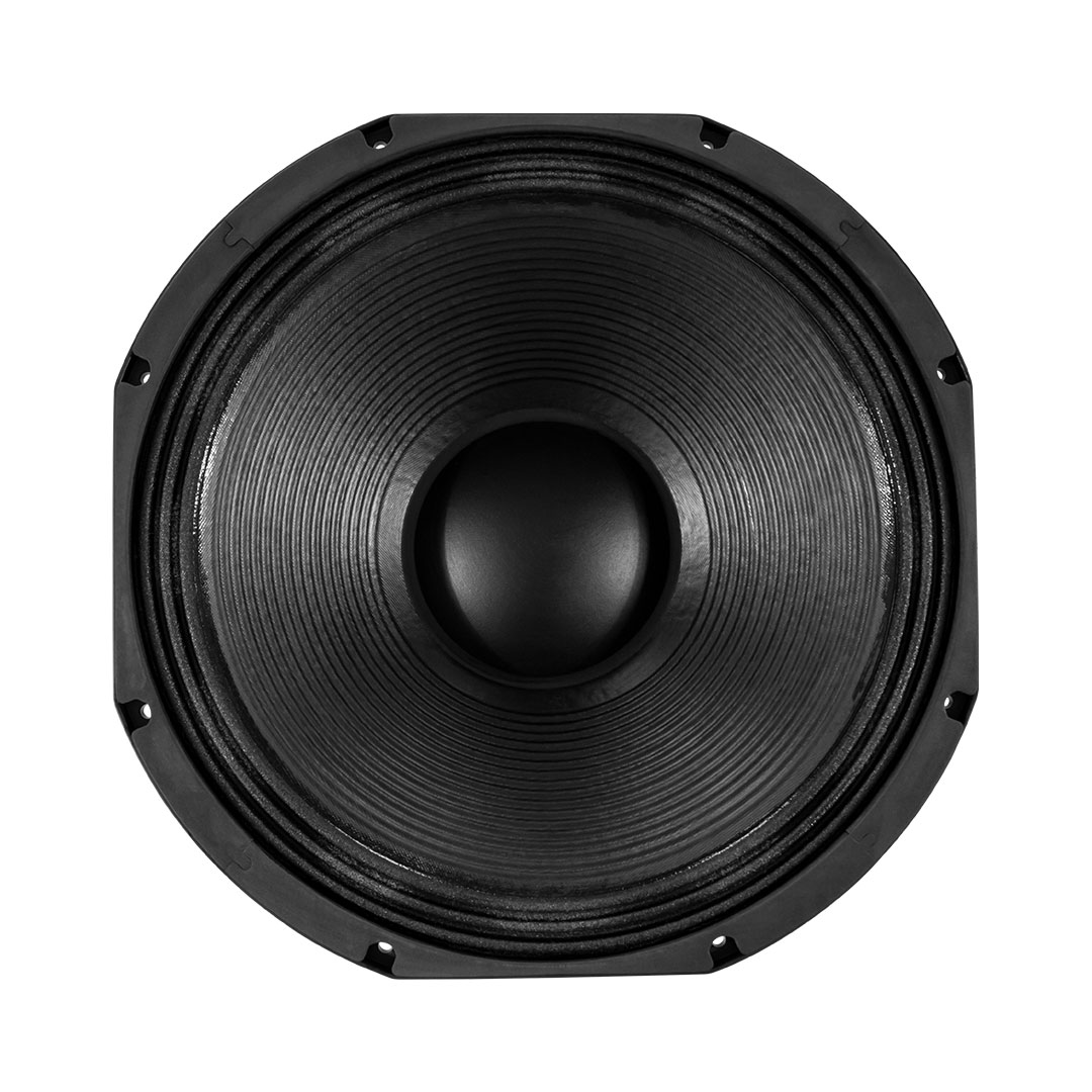 Celto Acoustique 18NGW1200-8 | SBR Pro Sound
