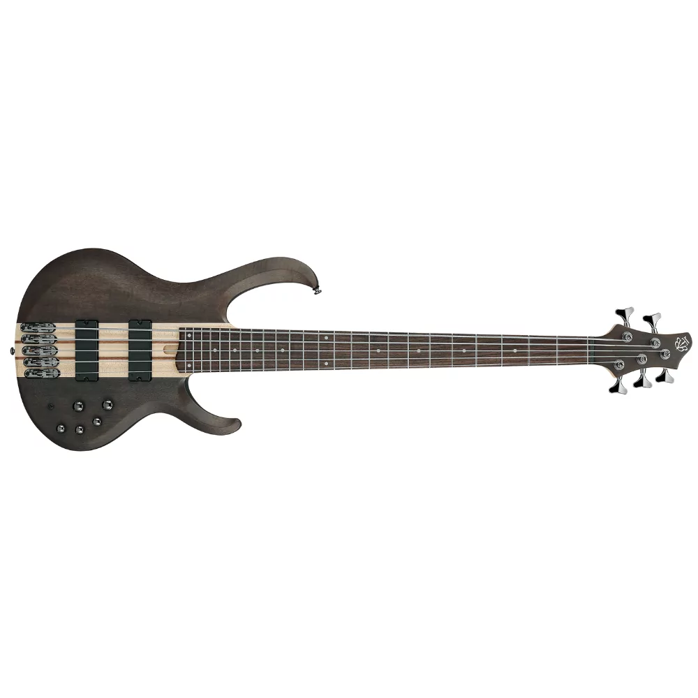 Ibanez BTB605TGF 5-String Electric Bass Guitar| SBR Pro Sound