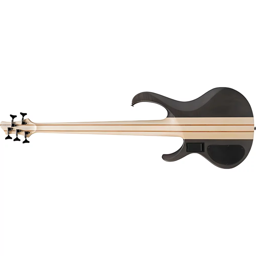 Ibanez BTB605TGF 5-String Electric Bass Guitar| SBR Pro Sound