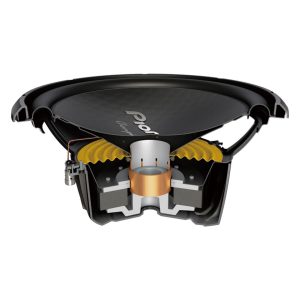 Pioneer-TS-W32S4-Champion-