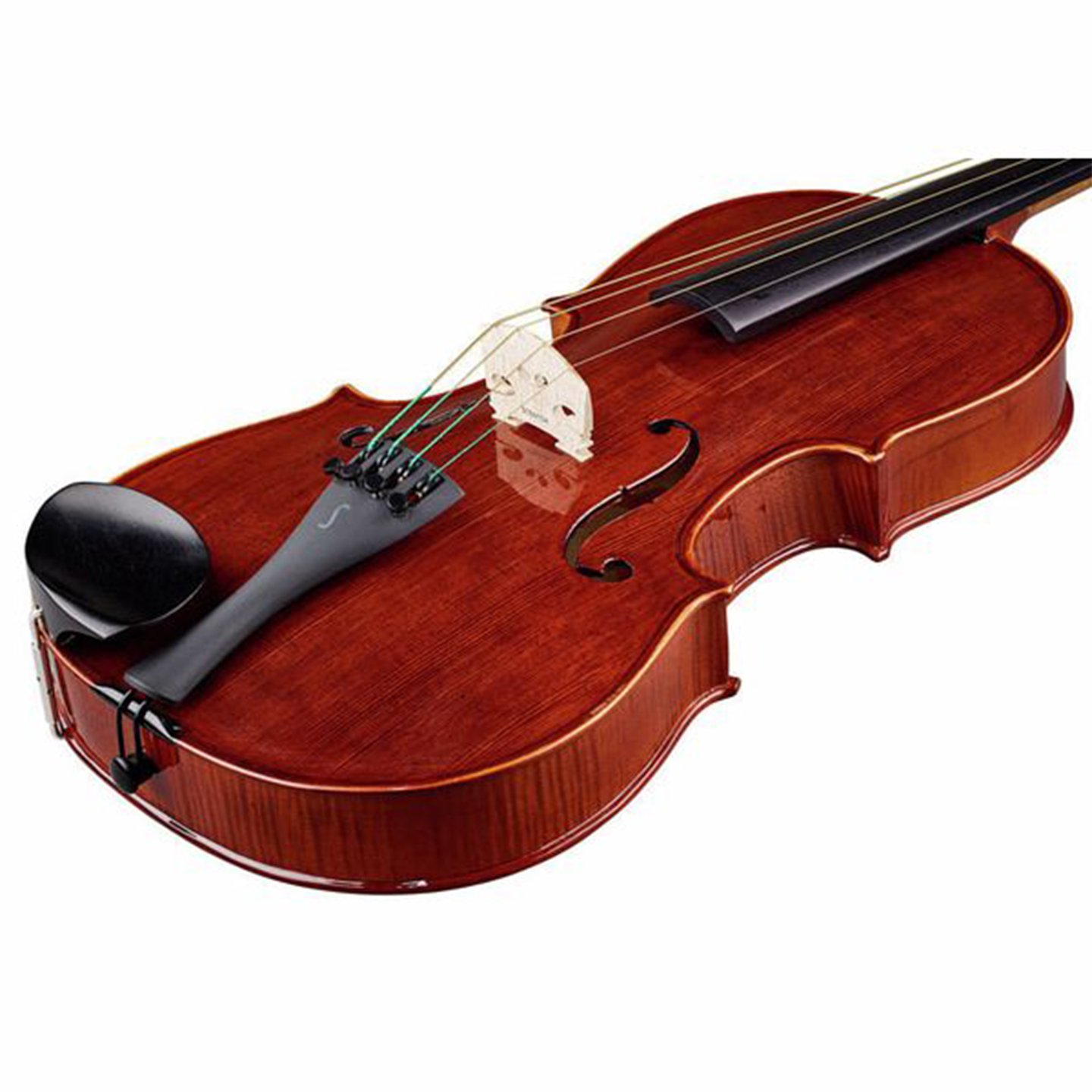 Stentor Conservatoire Viola Outfit 1551Q 16