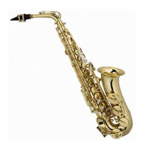 Sonata Alto Saxophone (Gold) | SBR Pro Sound