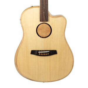 LR Baggs AEG-1 Acoustic Electric Guitar