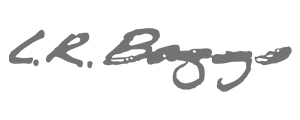 LR Baggs