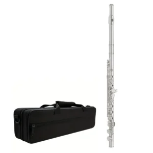 Santa Fe C Flute - Silver
